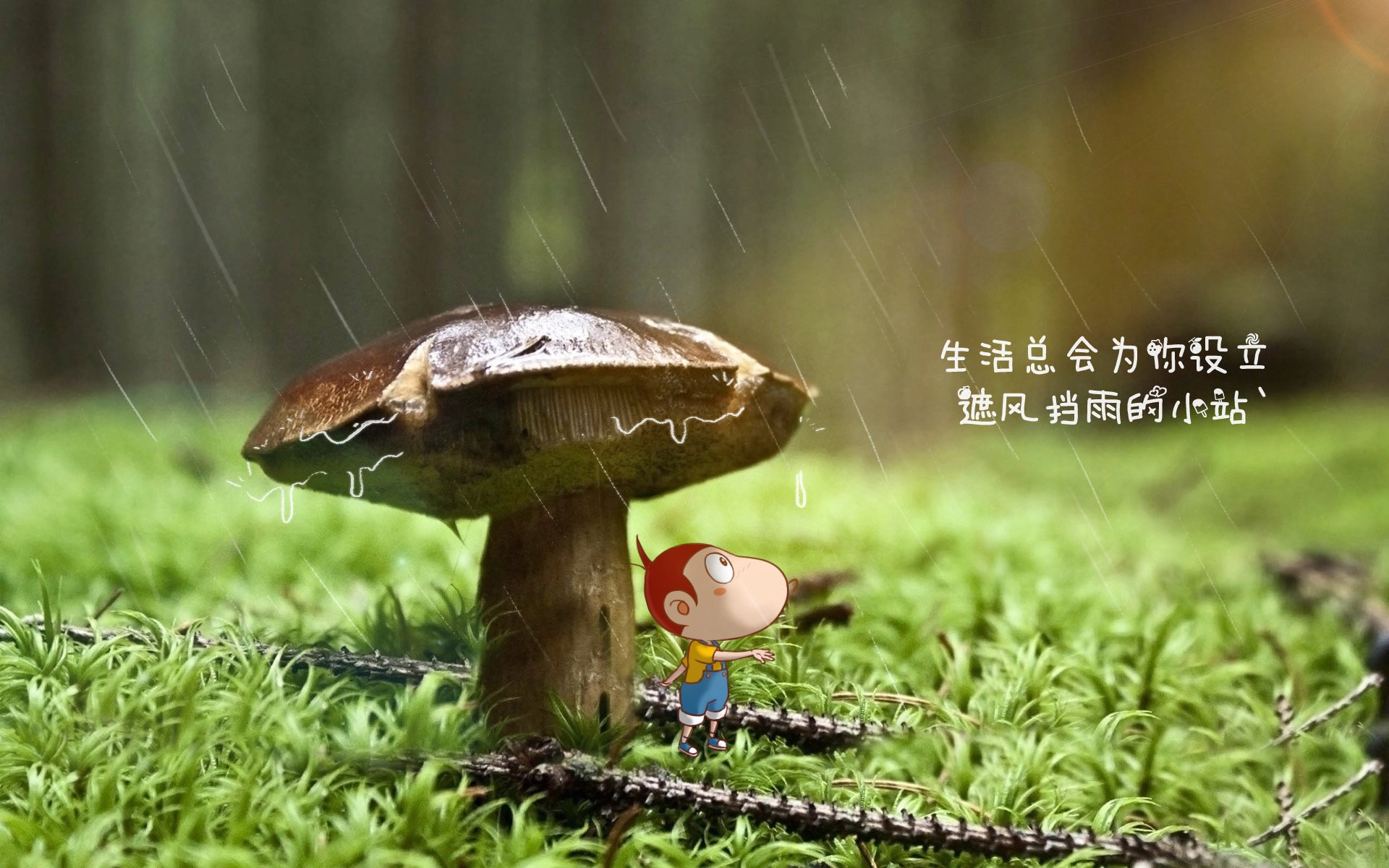 世界乒乓球联赛俱乐部青训投入回报第44版白皮书发布,乒乓球世界青年锦标赛冠军